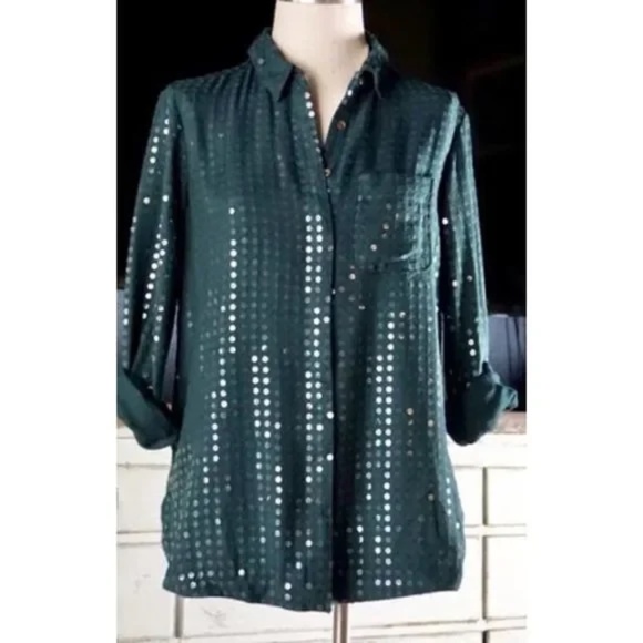 NWT!! Anthropologie Teal Pilcro Sequined Sequin Button Up Top M - Picture 3 of 6
